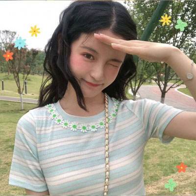 圣域契约3d果盘版下载